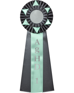 Agility Hopp diplom