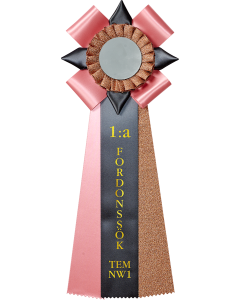 Fordonssök TEM - TSM