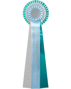 Internationell Juniorcertifikat