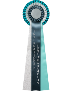 Internationell Juniorchampion